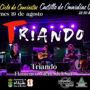 XIII Ciclo de Conciertos Castillo de Guardias Viejas – Triando