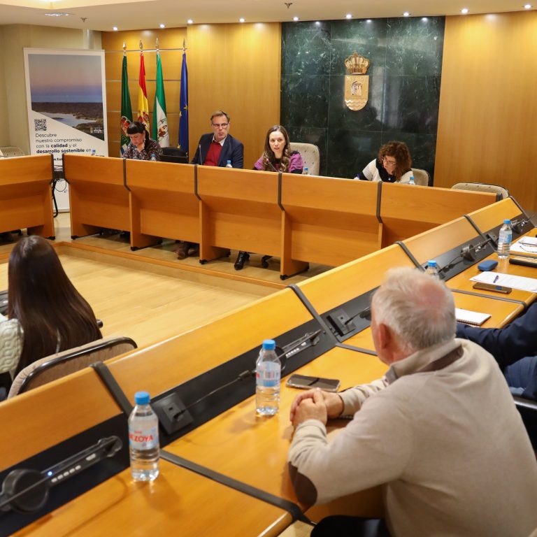 El Consejo Municipal de Turismo analiza la redacción del Plan Estratégico ‘Visión 30’