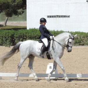 Aprende a montar a caballo