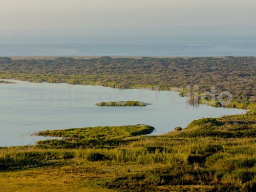 Punta Entinas-Sabinar