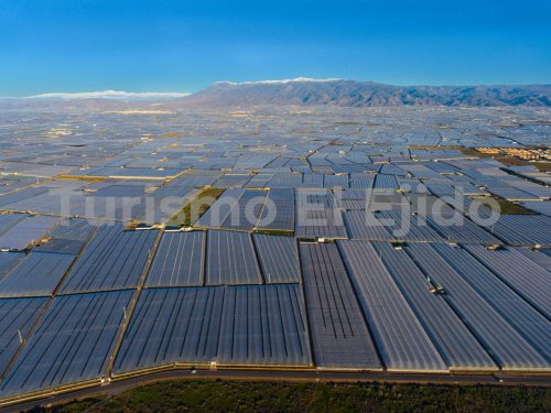 Panorámica Invernaderos