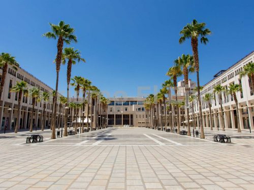 Plaza Mayor El Ejido