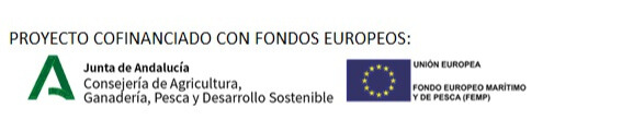 Logo cápsula